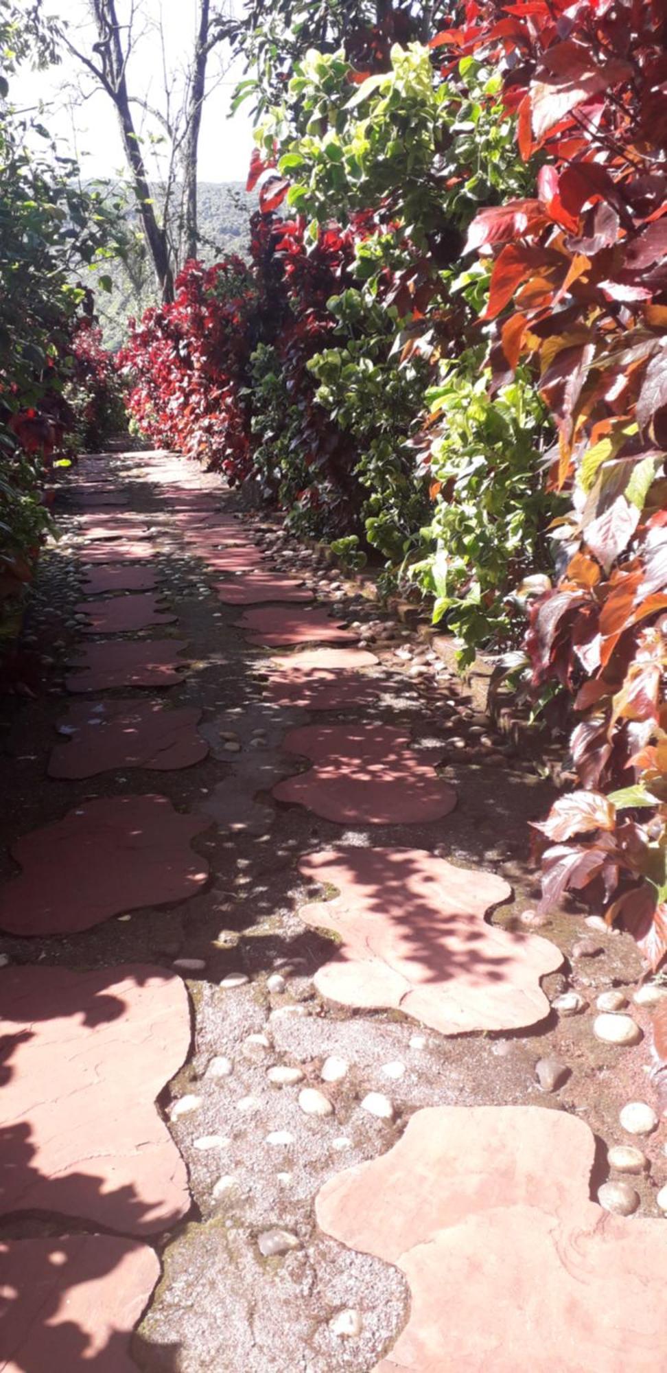 Villa Strawberry Country Mahābaleshwar Habitación foto